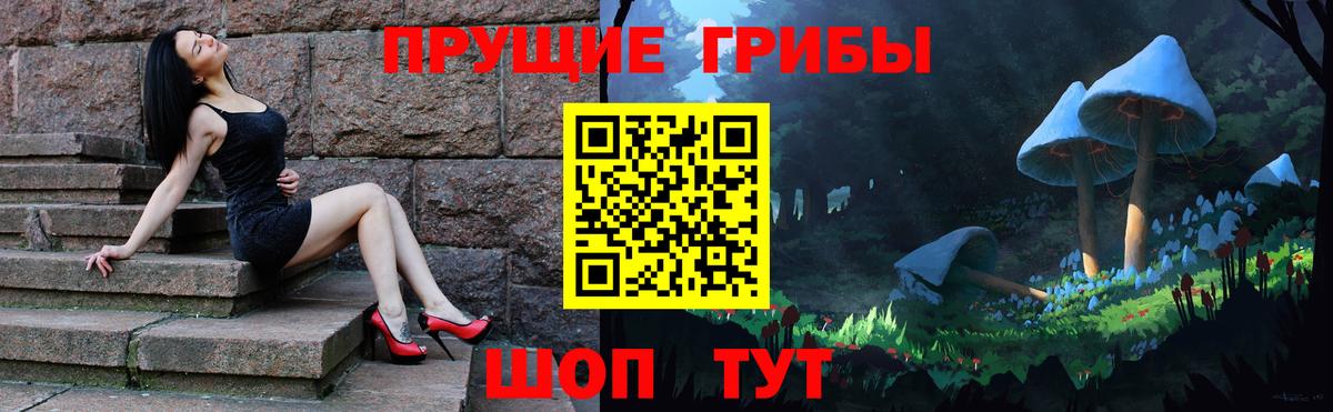 Братск  Псилоцибиновые грибы мицелий  где купить наркоту  Вход с VPN 