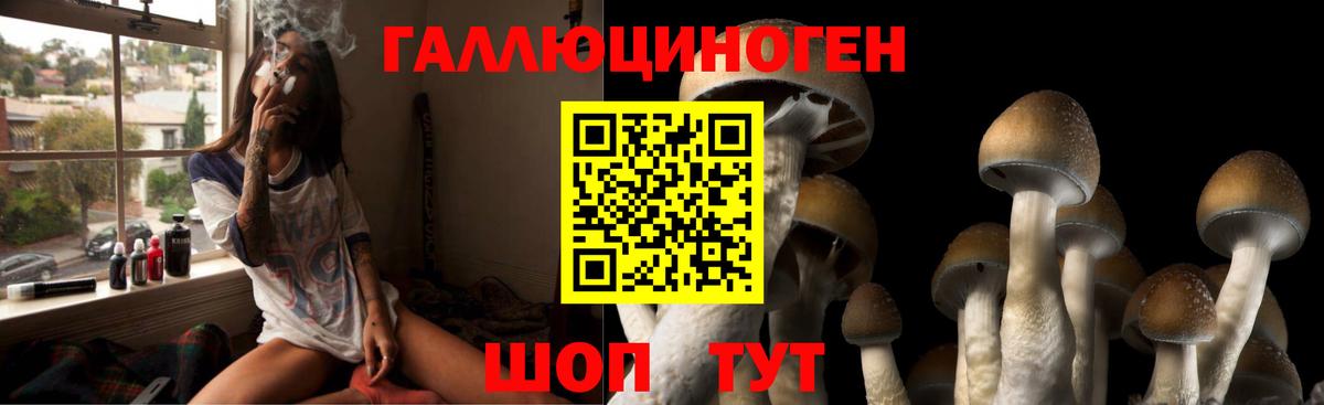 Псилоцибиновые грибы прущие грибы Братск